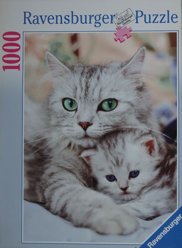 Cat Love
