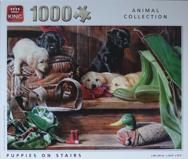 Puppies on Stairs (nog nieuw)