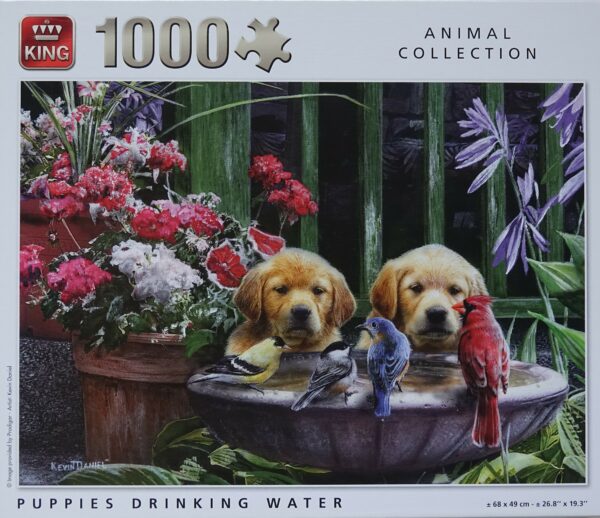 Puppies drinking water