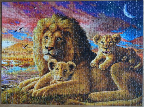 Leeuwenfamilie - Afbeelding 2