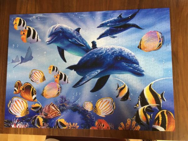 Four Dolphins - Afbeelding 2
