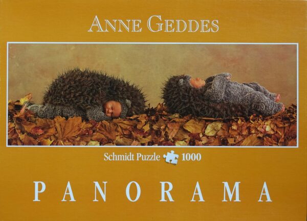 Anne Geddes: Winterslaap