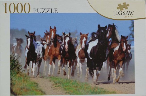 Galopperende Paarden