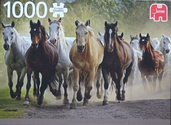 Een groep paarden (nog nieuw)