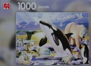 Dieren uit Antartica