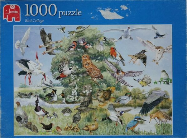 Bird Collage