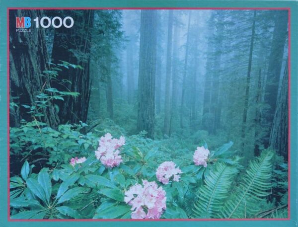 Rhododendron in het Bos