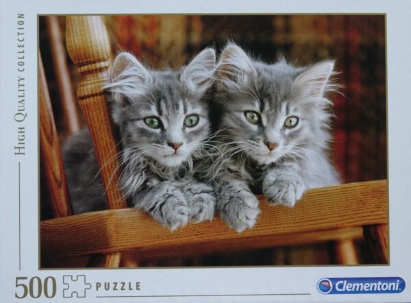 Kittens