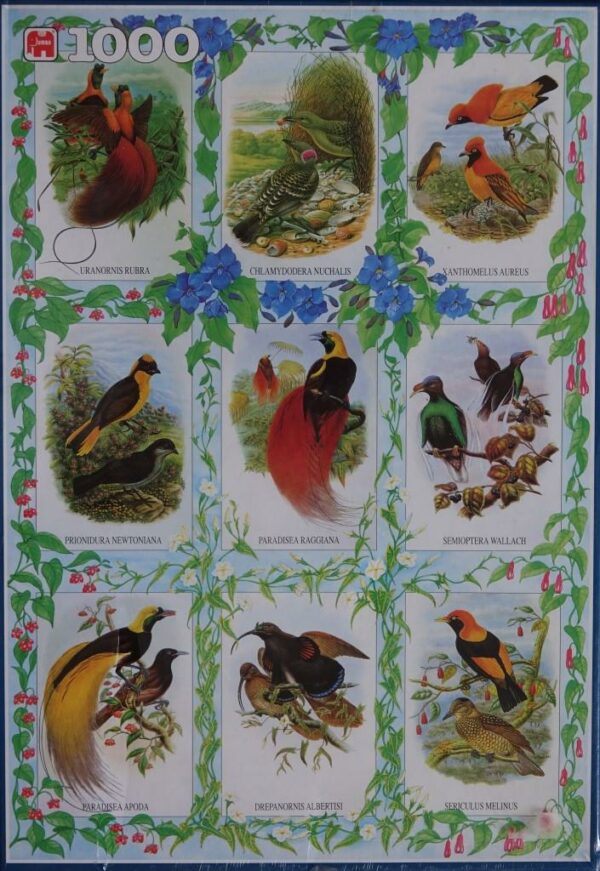 Exotische Vogels