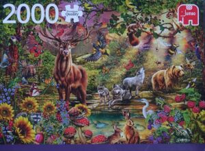 Magisch bos bij zonsondergang