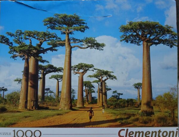 Madagascar (nieuw zonder doos)