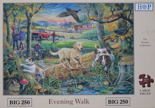 Evening Walk