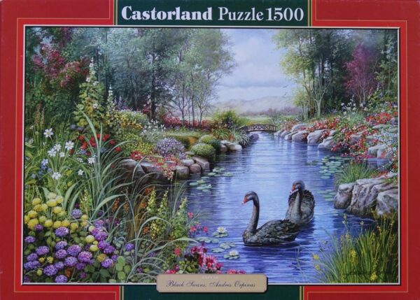 Black Swans