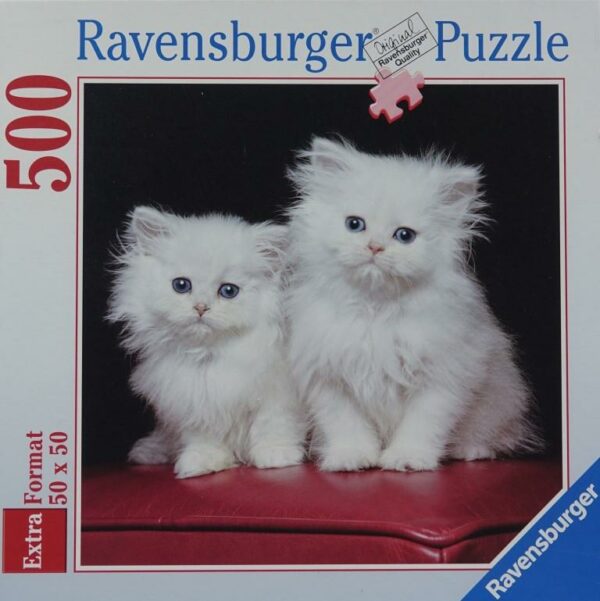 Witte Perzische Katjes