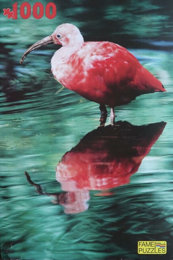 Ibis (nieuw zonder doos)