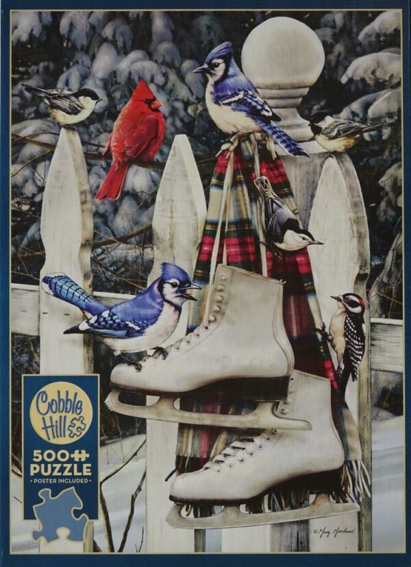 Birds with Skates