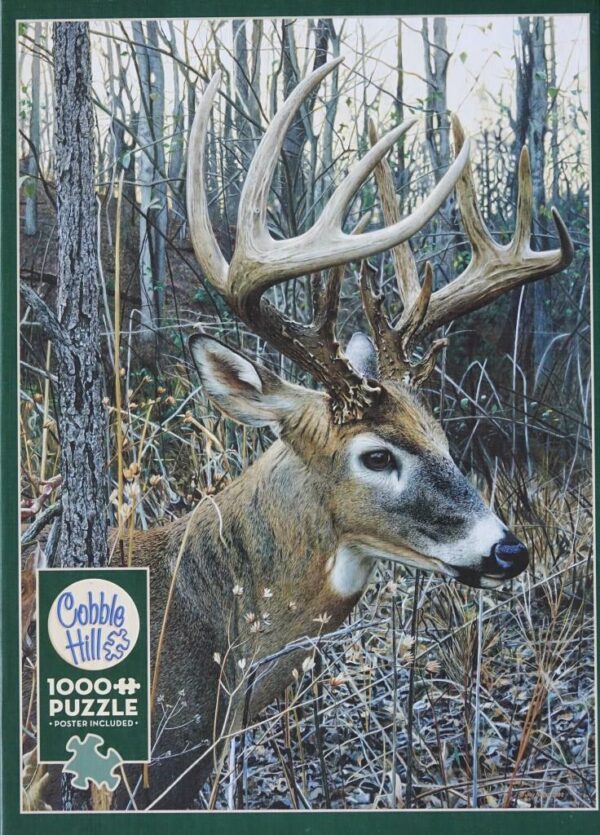 White-tailded Deer