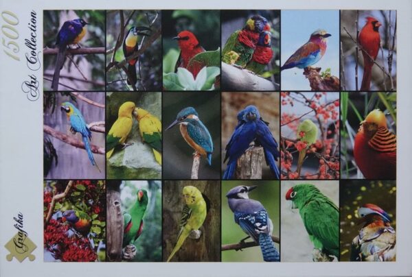 Collage van vogels