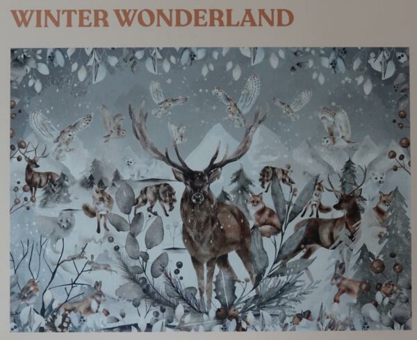 Winter Wonderland (nog nieuw)