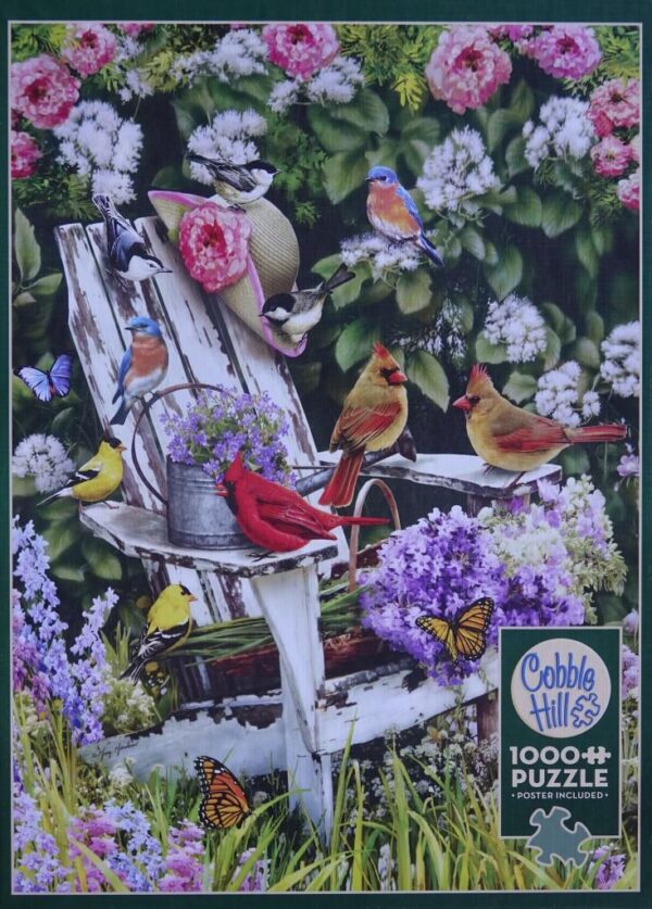 Summer Adirondack Birds