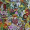 Around the World in 50 Plants - Afbeelding 2