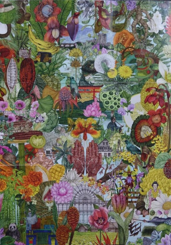 Around the World in 50 Plants - Afbeelding 2