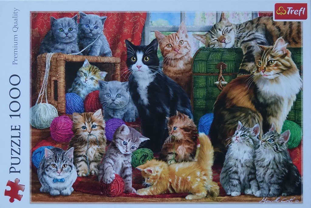 Feline Meeting