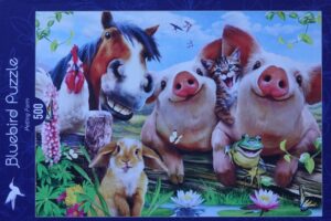 Petting Farm