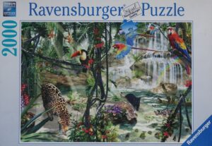 Jungle impressies