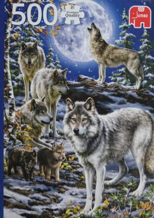 Wolvenroedel in de Winter