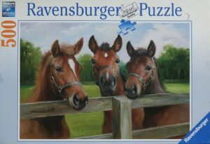 Gezellige Paarden