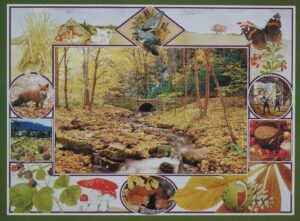 Herfstcollage